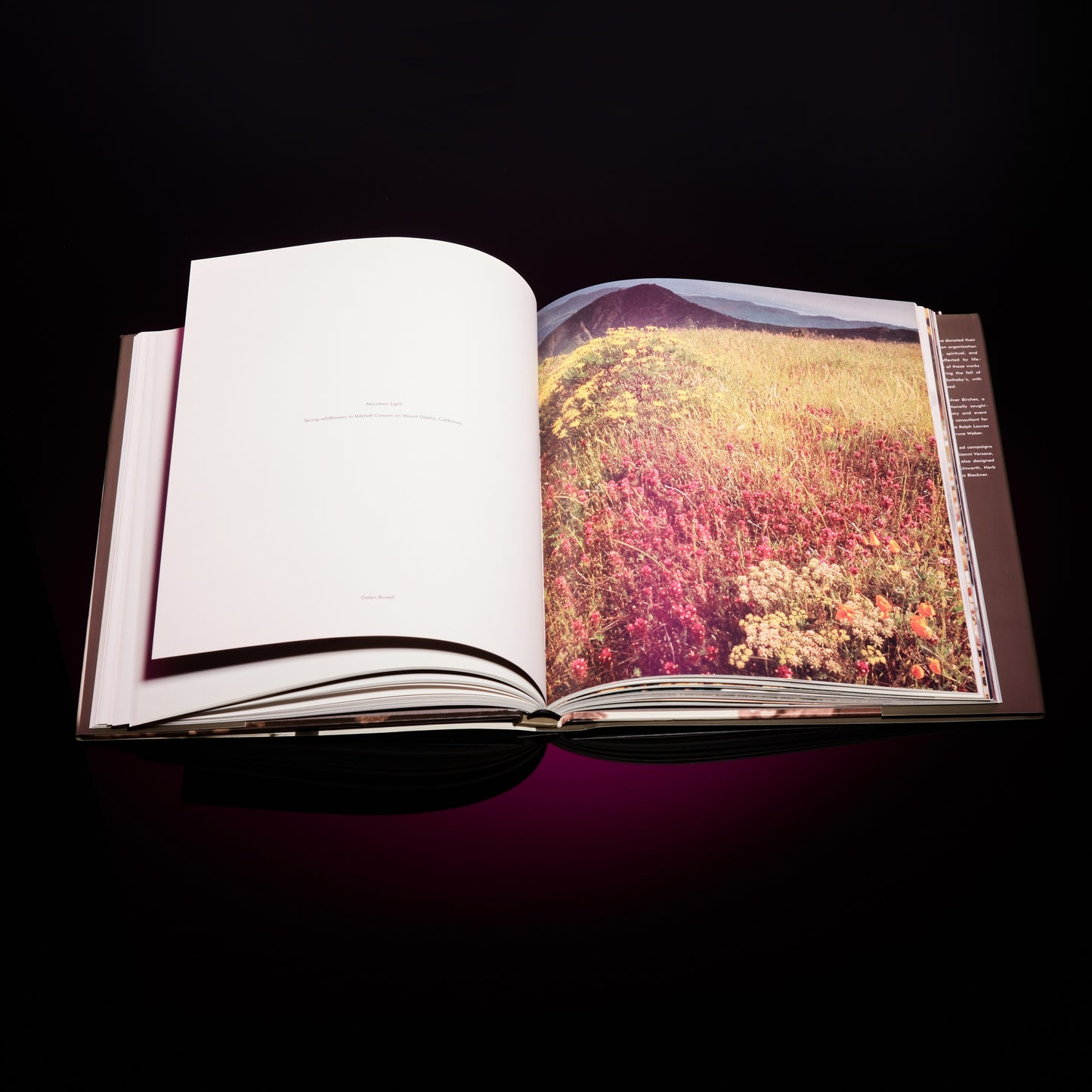 NAKED - FLOWERS EXPOSED