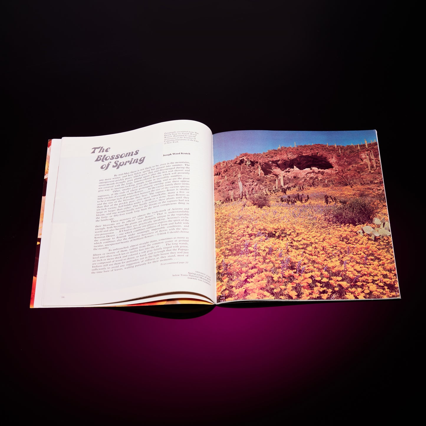ARIZONA HIGHWAYS MAGAZINE APRIL 1976