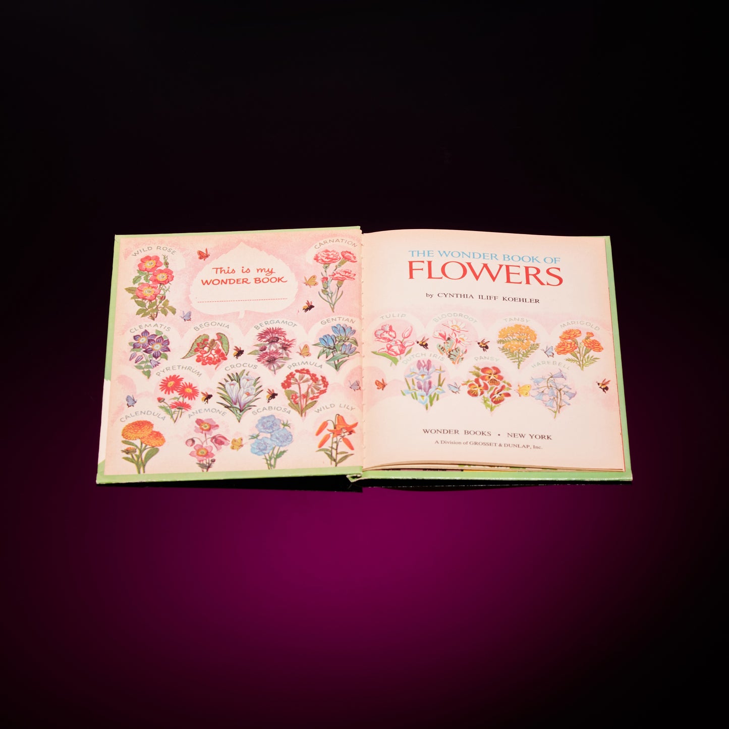 THE WONDER BOOK OF FLOWERS