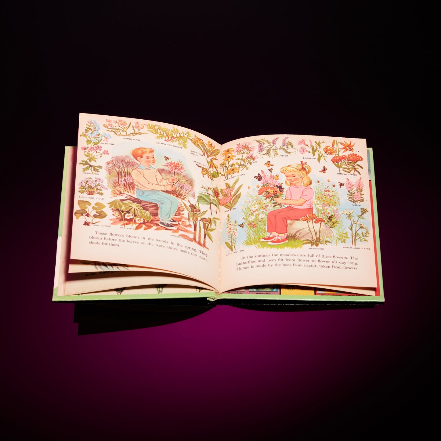 THE WONDER BOOK OF FLOWERS