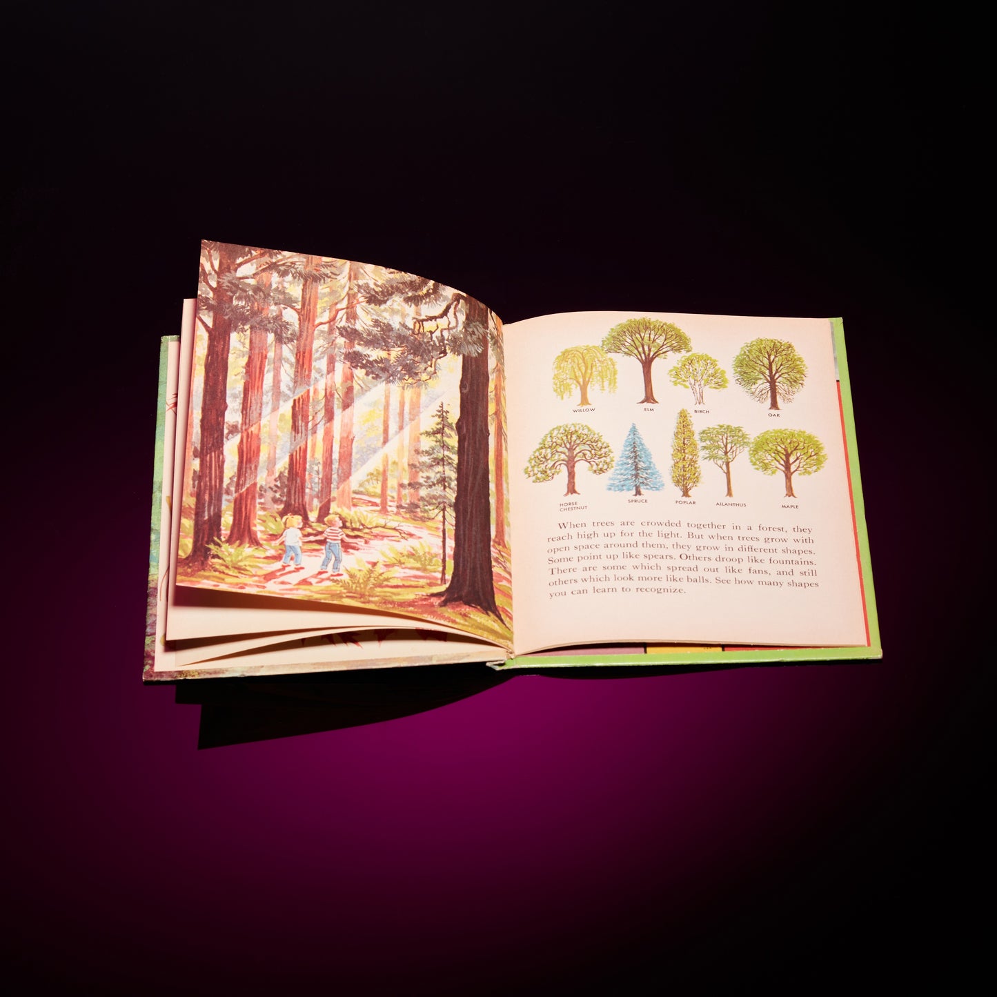 THE WONDER BOOK OF TREES