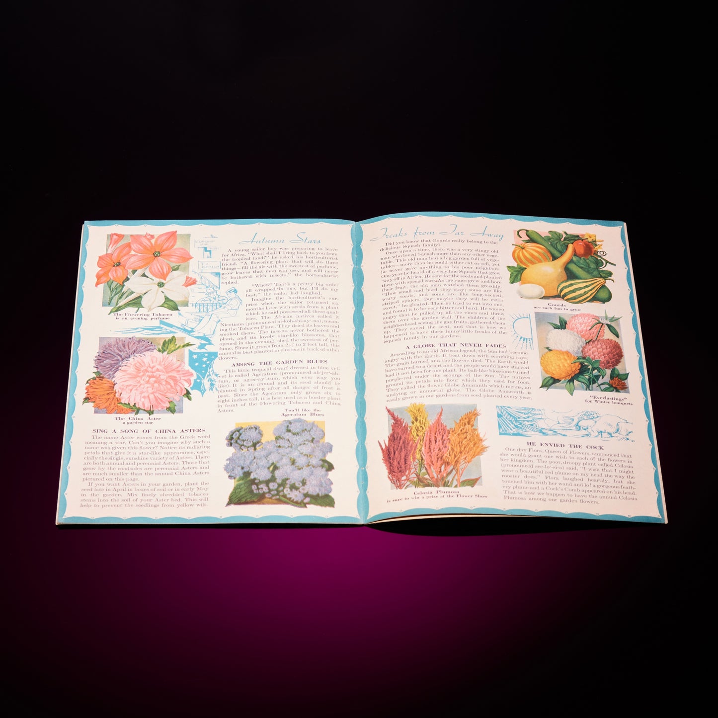 MY STORY BOOK OF FLOWERS