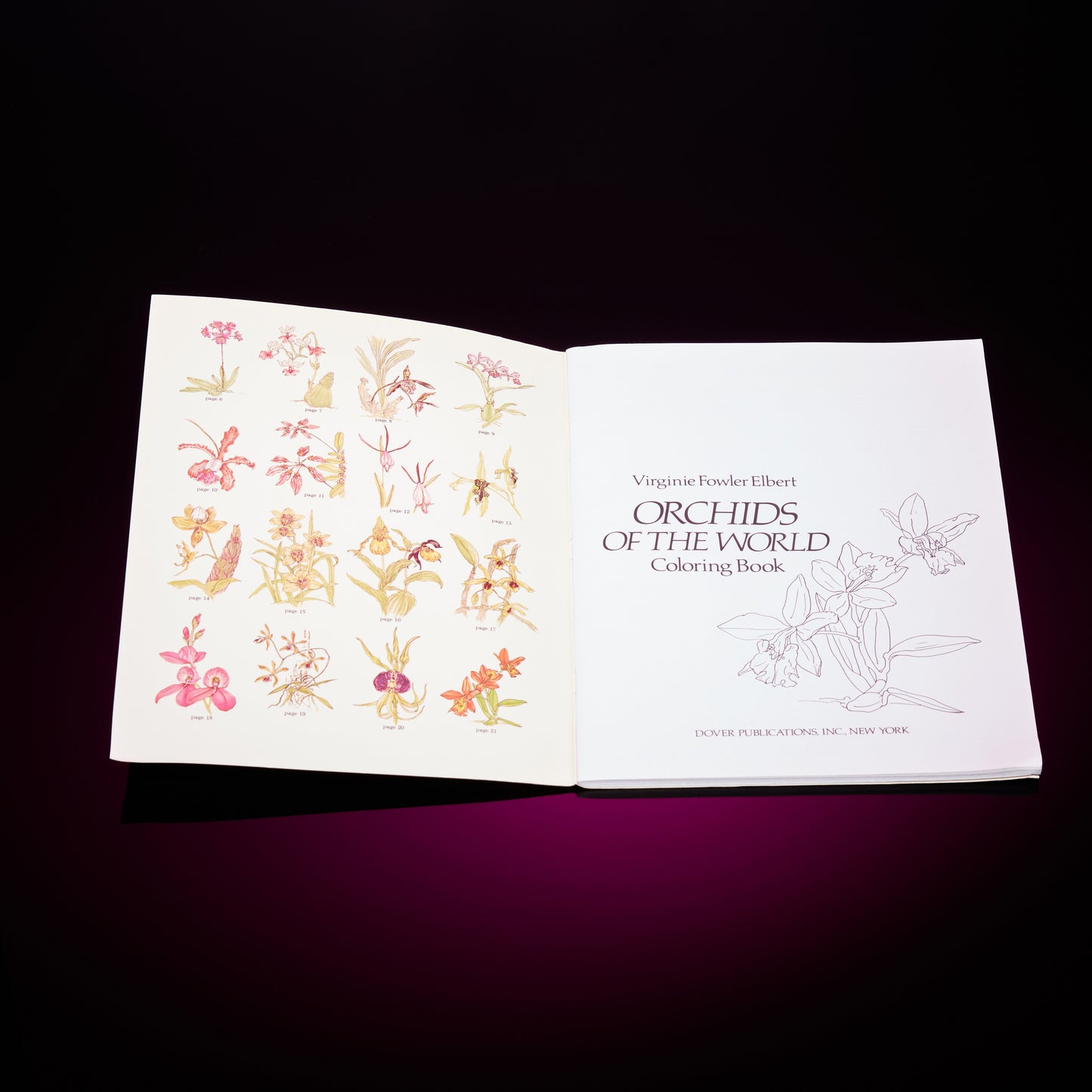 ORCHIDS OF THE WORLD COLORING BOOK