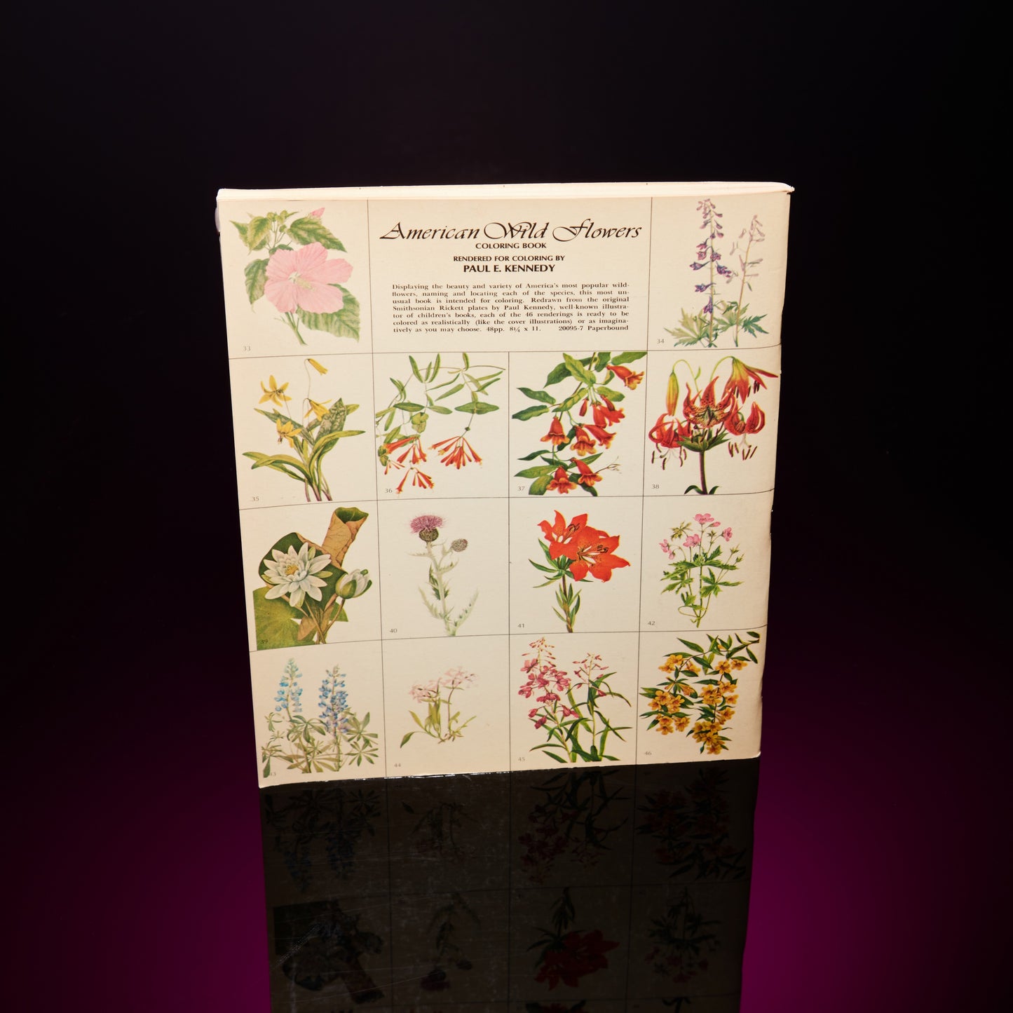 AMERICAN WILD FLOWERS COLORING BOOK