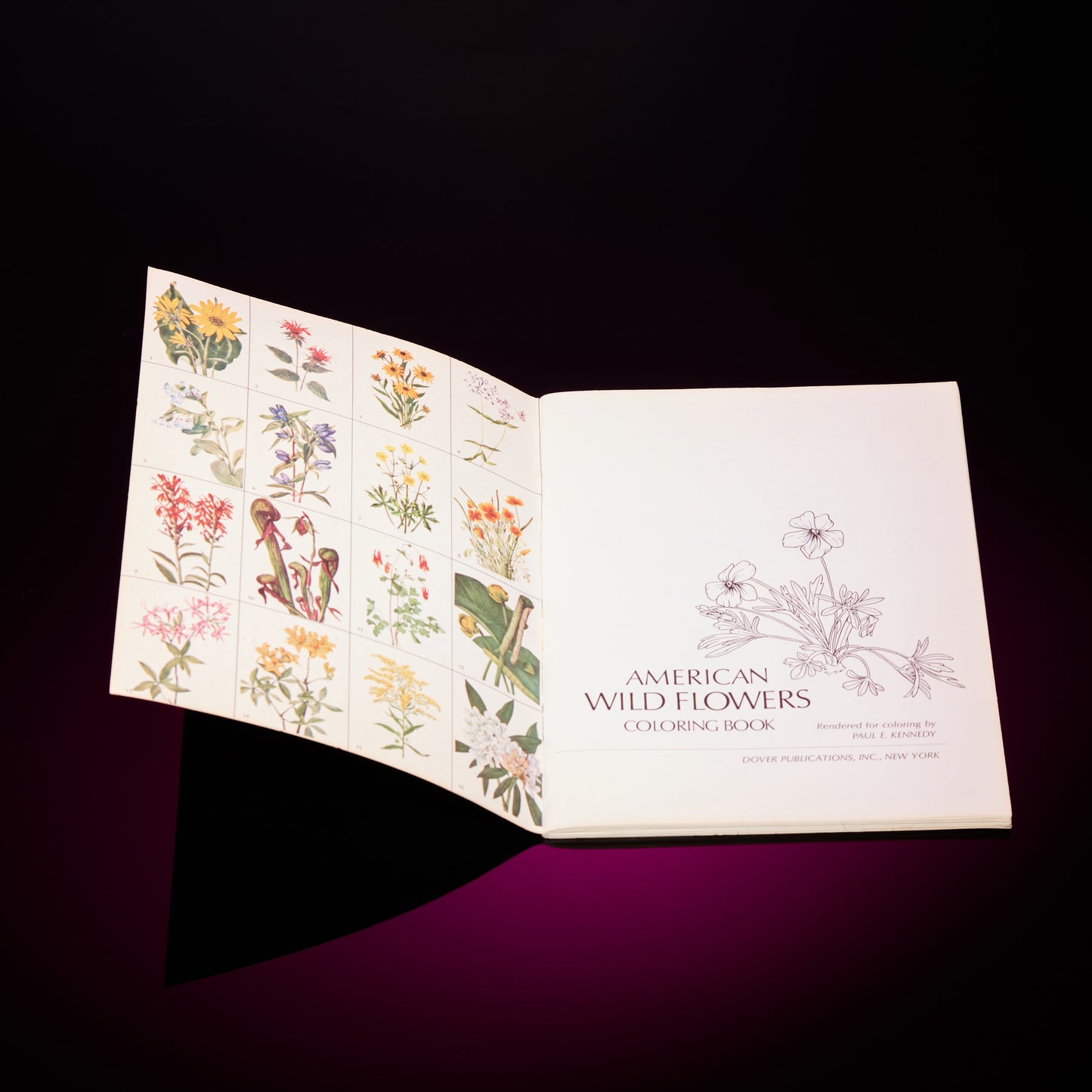 AMERICAN WILD FLOWERS COLORING BOOK